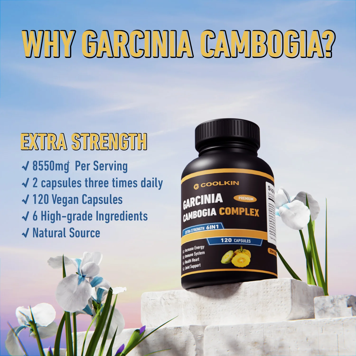 Garcinia Gengibre e Fat Burner - Garcinia Cambogia Extract avaliação e preço