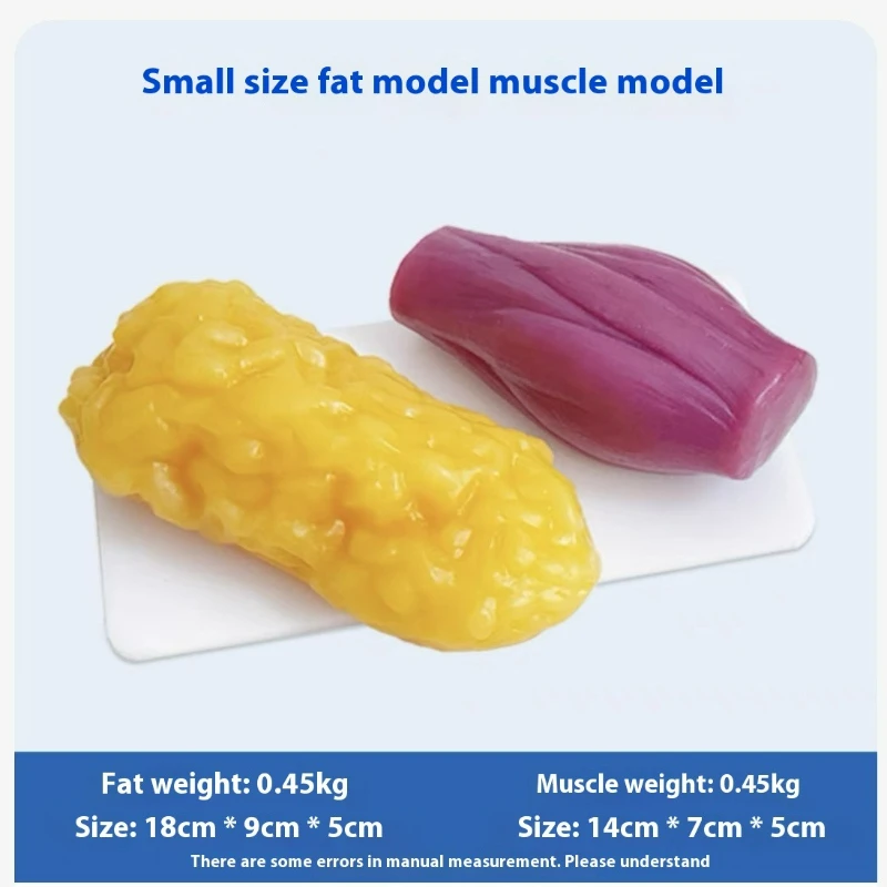 Réplicas de Músculos e Gordura - Fitness With Nutrition avaliação e preço